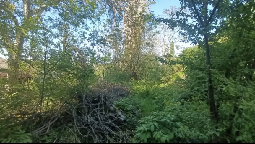 863